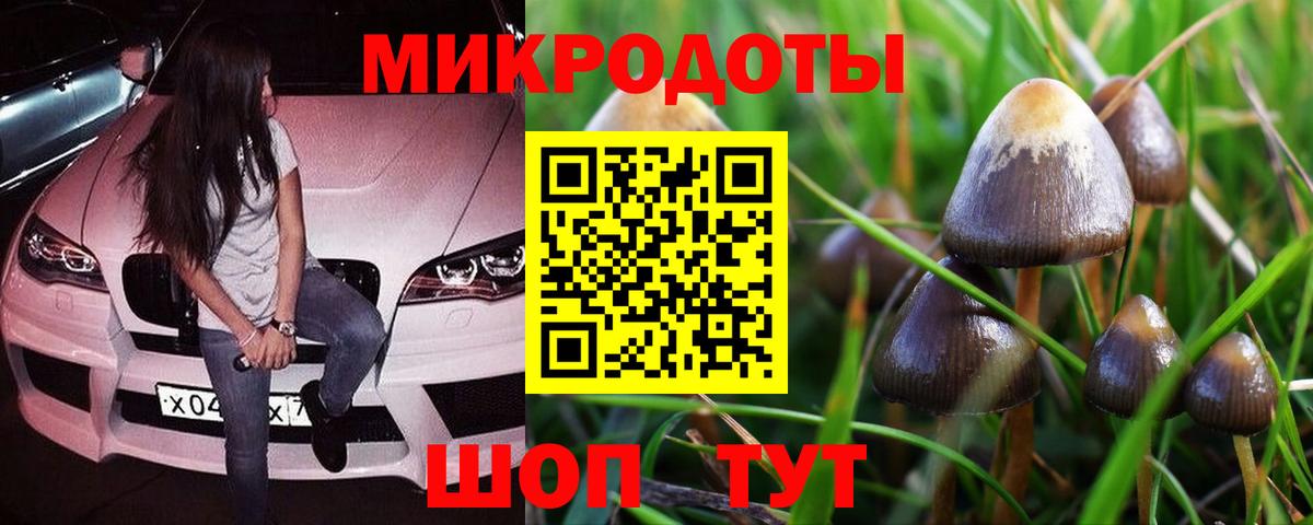 Галлюциногенные грибы прущие грибы Муравленко