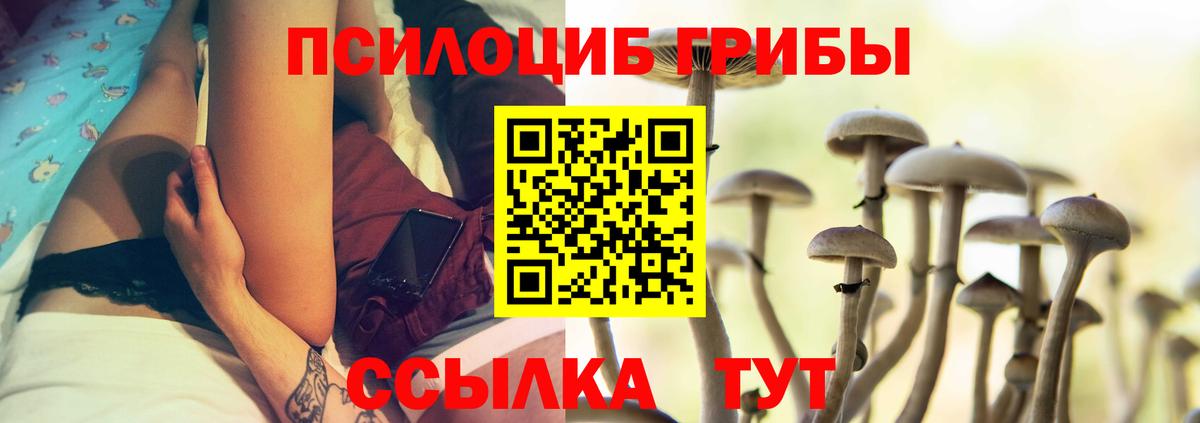 Муравленко  Галлюциногенные грибы Cubensis  Вход с VPN 